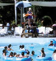Lifeguard